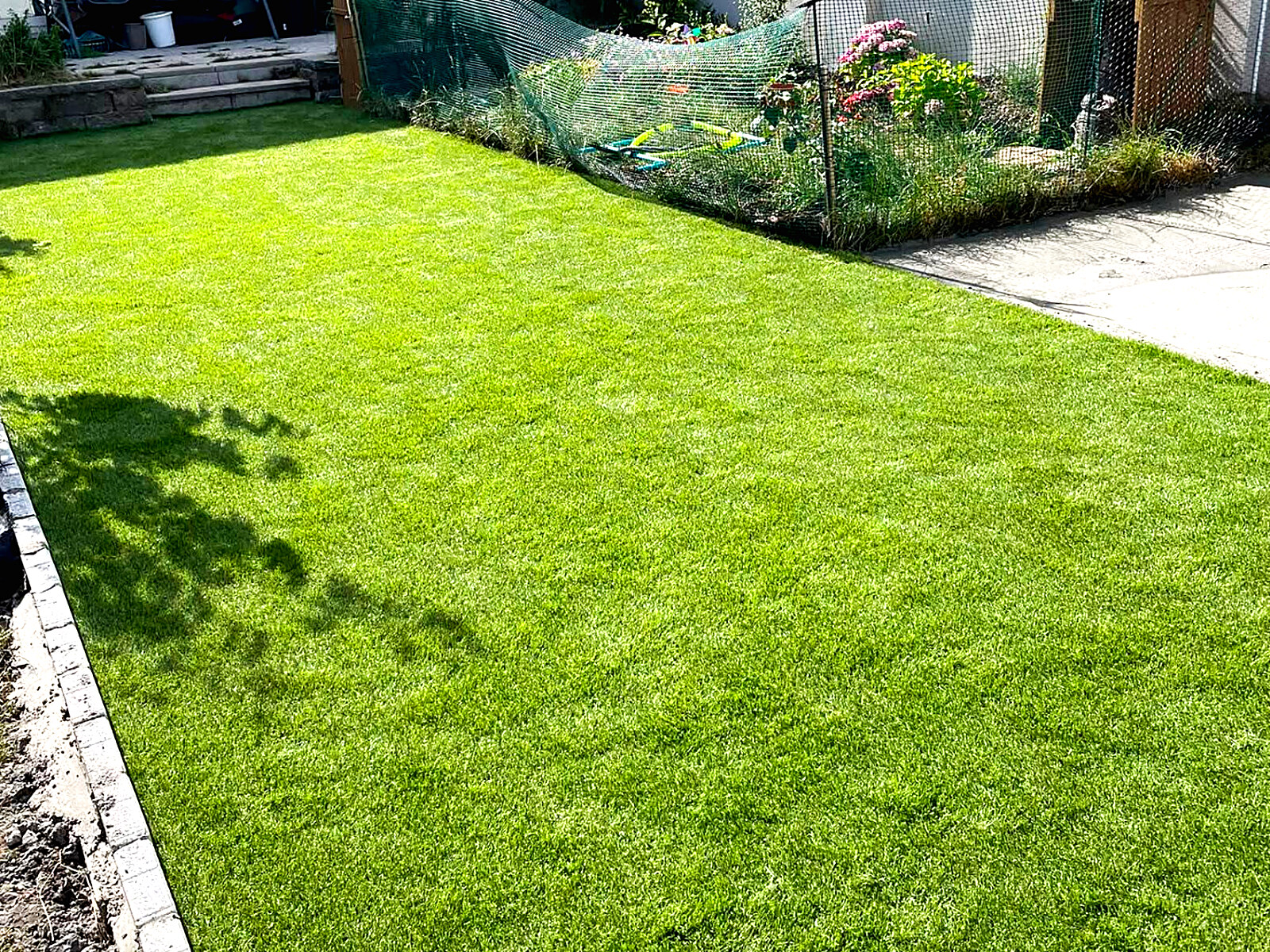 Kerbed lawn renewal